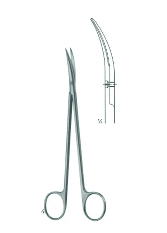 Dissecting Scissors